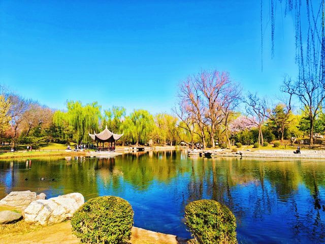 寶子們！錯過陶然亭公園嘅春日浪漫，真係會喊㗎