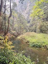 Tianzi Mountain 