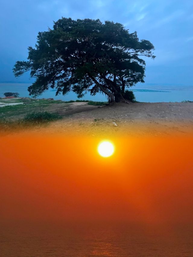 在汕頭，必推薦南澳島·孤獨的樹，看絕美日出