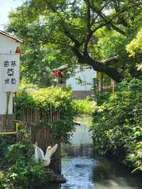 Explore the Wonders of Xixi Wetland in Hangzhou
