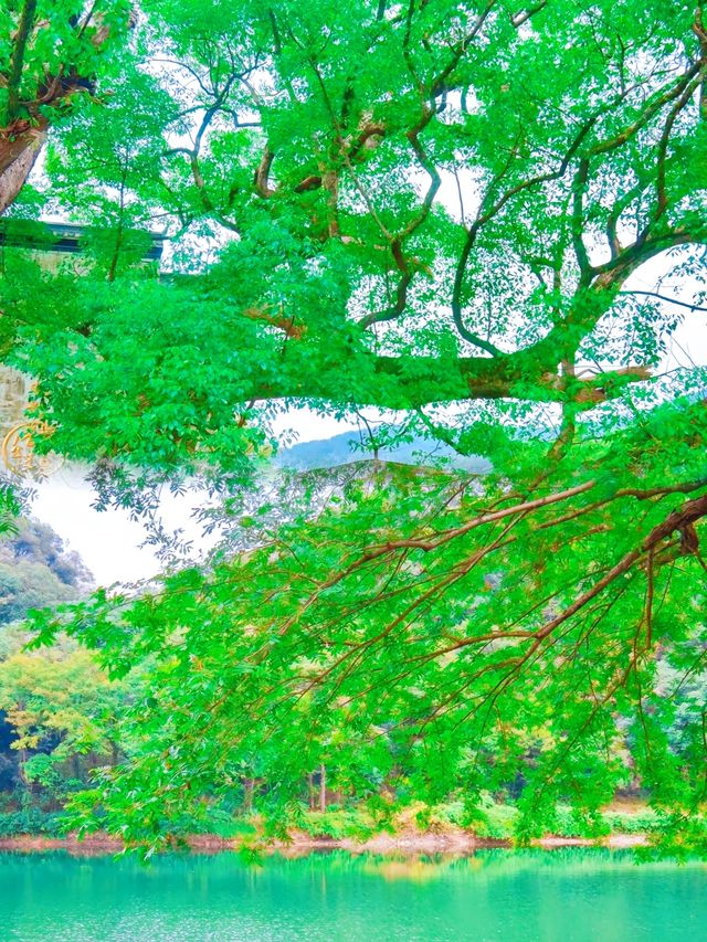 婺源 | 藏在春天裡的詩意桃源，美過景德鎮
