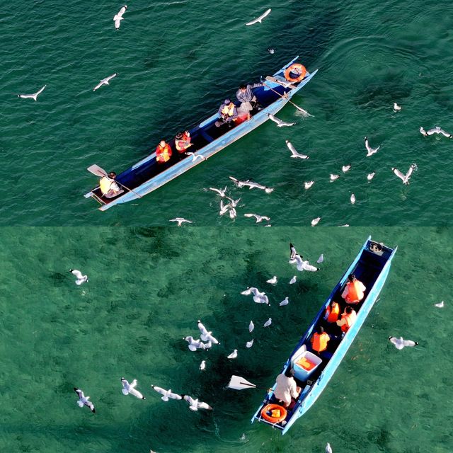 《瀘沽湖划船：親子時光，與湖水共舞》