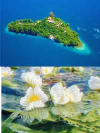三天兩夜深度玩法，解鎖高原明珠的終極浪漫