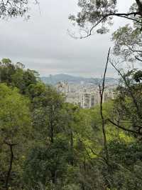 板障山森林公園：徒步邂逅自然之美