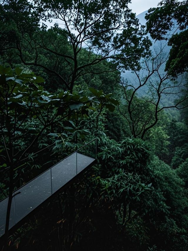 神獸變身小苗王！貴州5天4夜秘境攻略