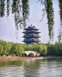 實錘！大明湖的「視覺欺騙」：網紅濾鏡下的真實面目曝光