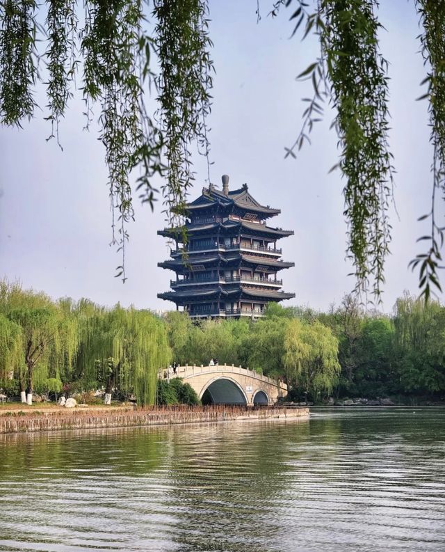 實錘！大明湖的「視覺欺騙」：網紅濾鏡下的真實面目曝光
