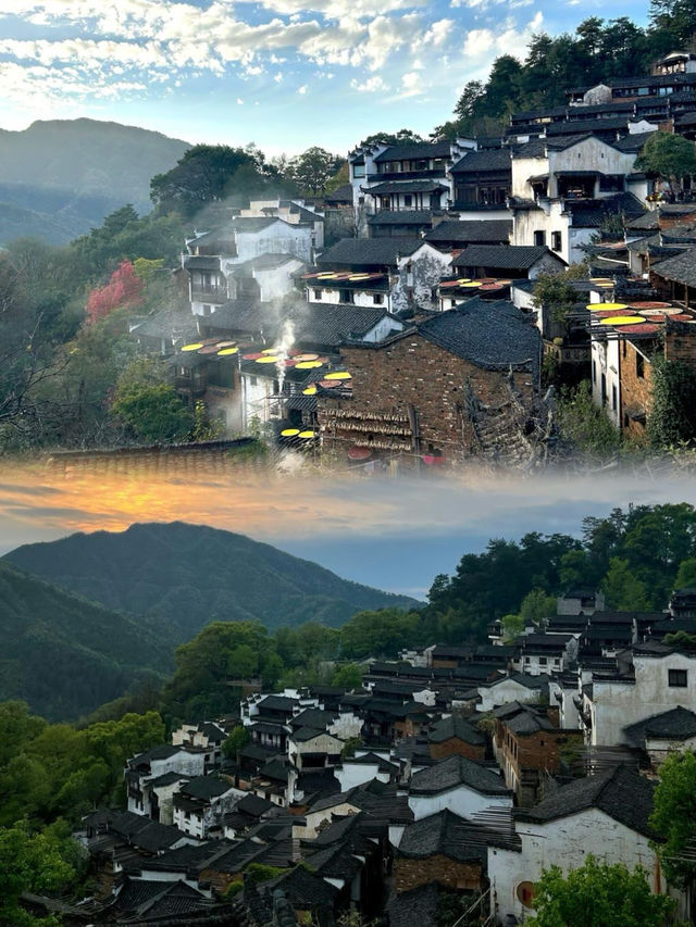 婺源|中國最美鄉村,春天像打翻了調色盤! 婺源|中國最美鄉村,春天像打翻了調色盤!
