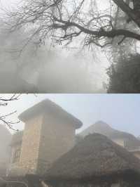 探索雲南紅河的梯田秘境