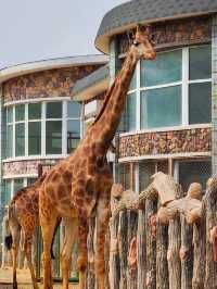 長春動植物園·西游記主題公園