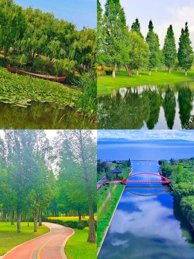 昆明寶豐濕地公園：滇池之畔的生態畫卷