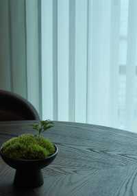 看～昆明君悅酒店的神奇動物們