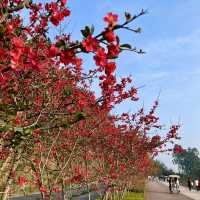 Whimsical charms of spring