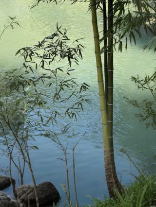 Jinhua Pujiang | A Seriously Underrated Hidden Gem!