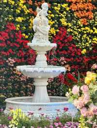 🌸夢幻般的花海在維多利亞公園等你🌼
