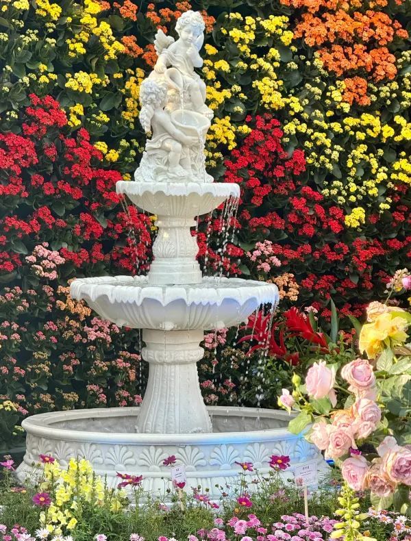 🌸夢幻般的花海在維多利亞公園等你🌼