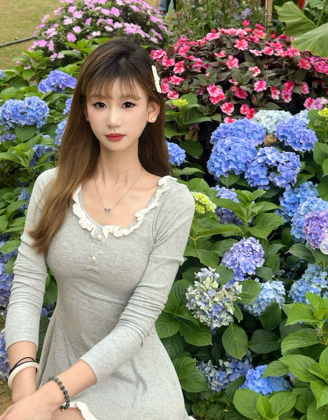 讓小尚帶您遊覽南湖公園吧！