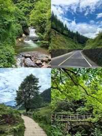 黑竹溝·馬里冷舊｜成都人嘅阿勒泰