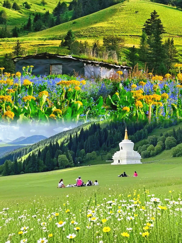四姑娘山！雲端秘境咁樣玩先過癮
