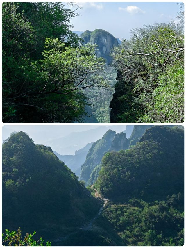 雲端暴走！王莽嶺掛壁奇遇之旅