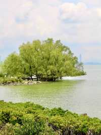 An ideal place for weekend in Shenzhen 
