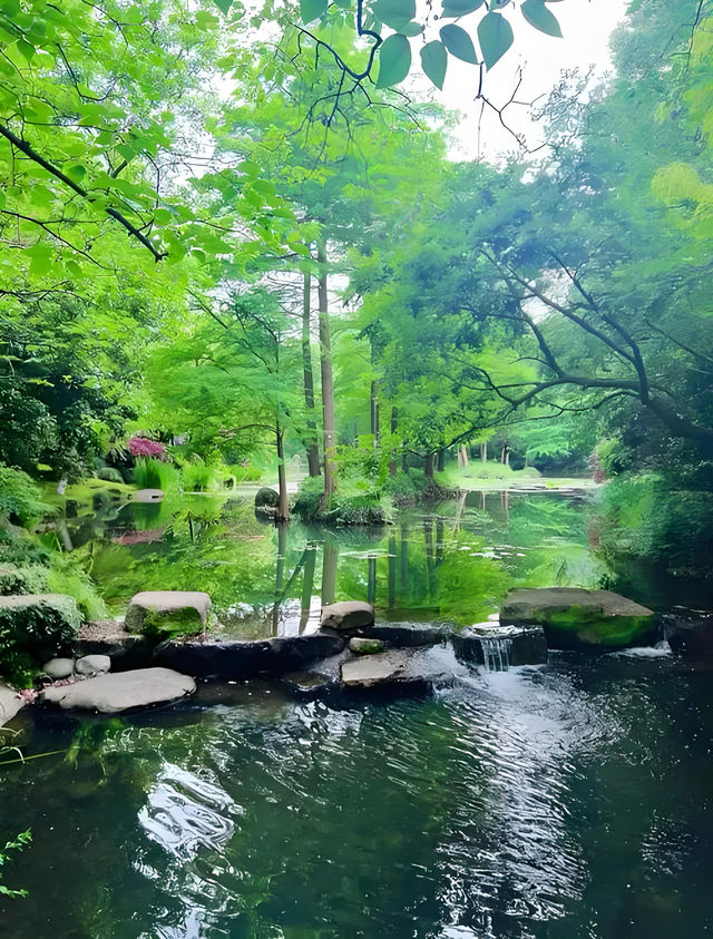比起西湖，我更愛呢條老杭州city walk
