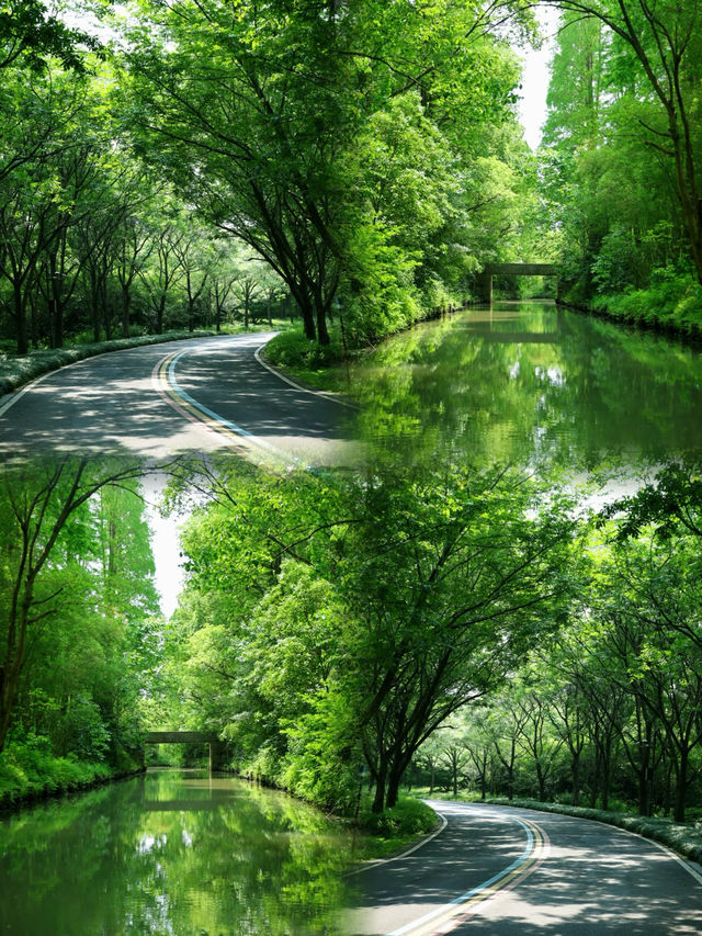 蘇州同里國家濕地公園/吸氧指南