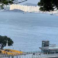 香港小眾秘境 | 訊號山花園深度遊🌸