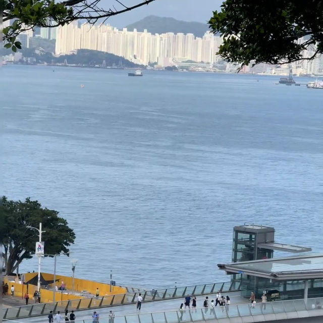 香港小眾秘境 | 訊號山花園深度遊🌸