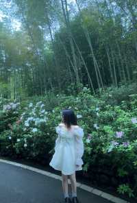 都江堰一日遊｜拜水問道，玩轉千年水利奇蹟！