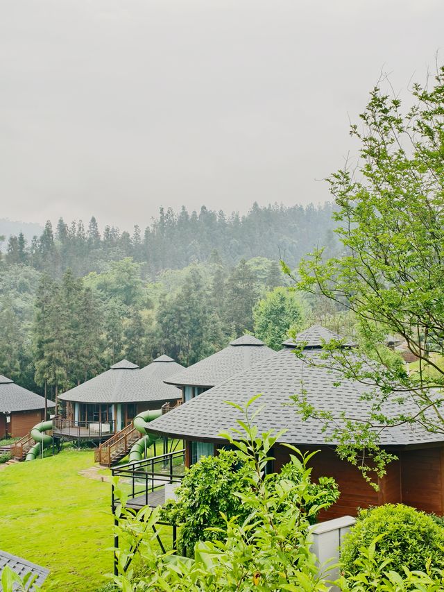 成都2.5小時直達｜住進樂山茶山的綠色夢境，治癒都市焦慮