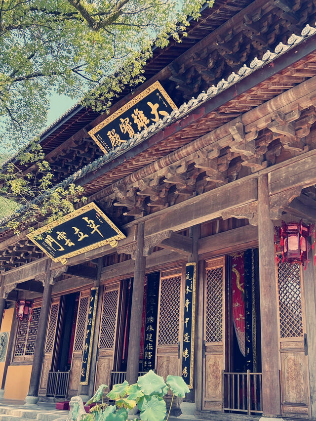 端午悠遊建德玉泉寺，邂逅古剎清幽