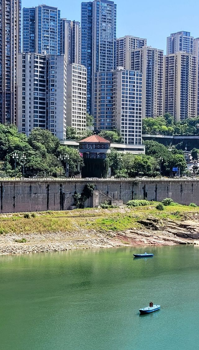 黃葛樹之都——重慶