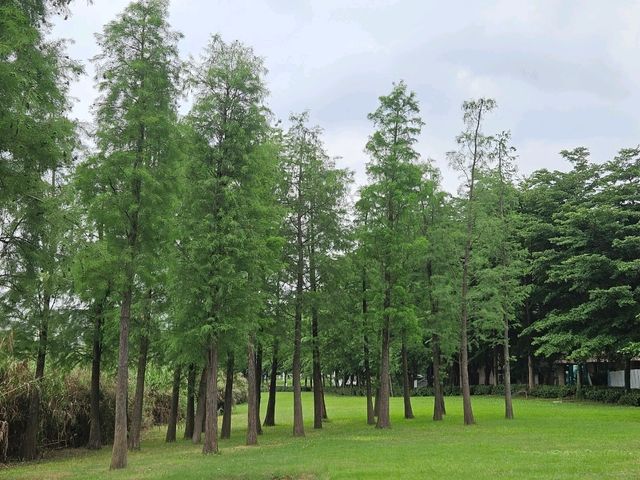鹤山