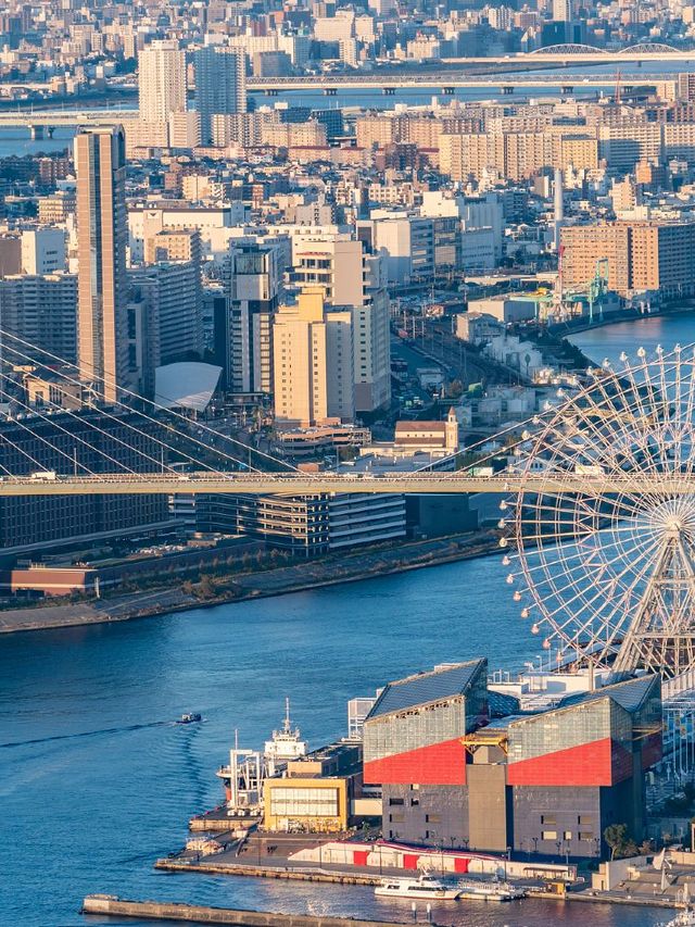 日本7日深度遊 超詳細攻略不踩雷