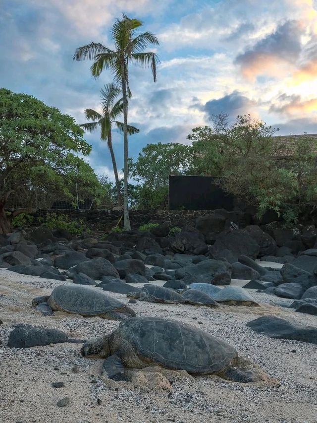 Aloha！夏威夷實在太靚 完全唔想走