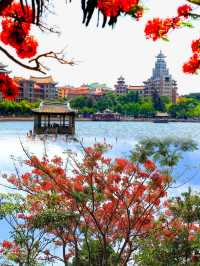 6月賞花花海打卡指南，解鎖限定浪漫！