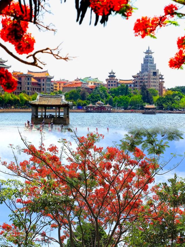 6月賞花花海打卡指南，解鎖限定浪漫！