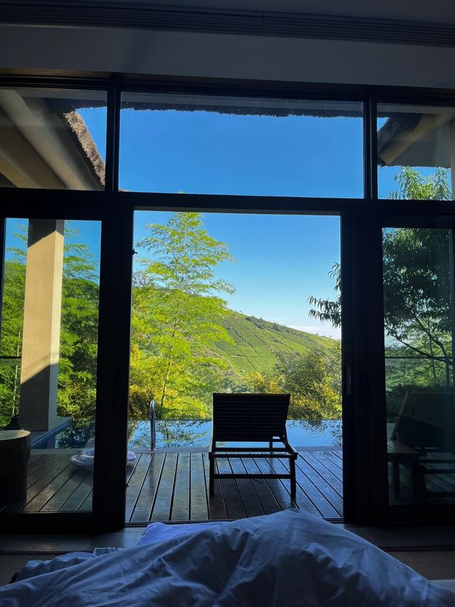 住進溧陽嘅萬畝竹海，做一場山野之夢