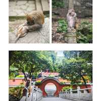 黔靈山公園，繁囂都市中的綠意閒情