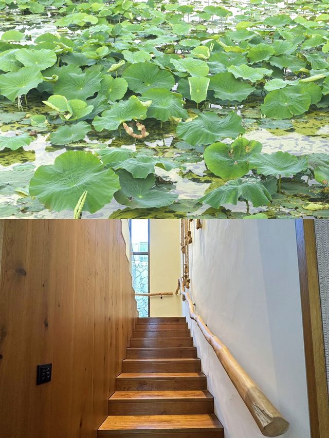 蘇州必打卡度假村！太湖邊嘅療癒系慢生活