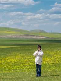 在北緯49°莫日格勒河，邂逅宮崎駿嘅夏天！