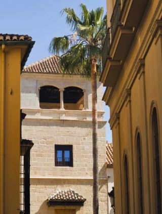 Top 3 Must-Visit Spots in Málaga: Art & History All in One!