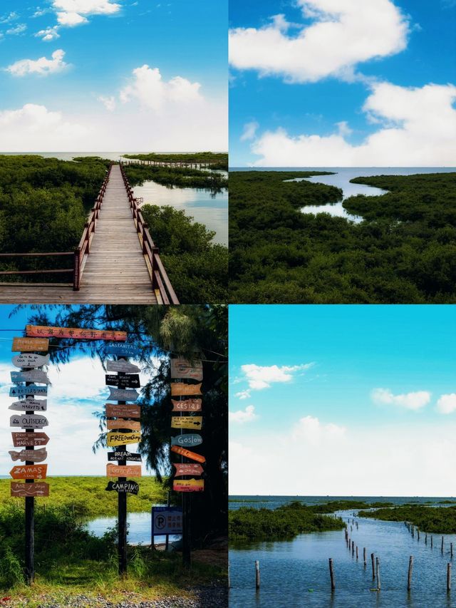 北海 超級適合海濱夏季度假嘅天花板
