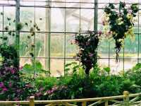 Wuhan Botanic Garden: Where Science, Conservation, and Botanical Splendor Converge