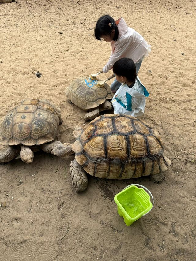 迄今為止……暑假最適合親子遊的城市出現了！