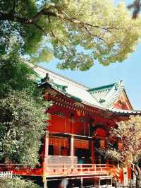 【東京の隠れ家スポット：根津神社で春の杜鵑花に癒されよう】*