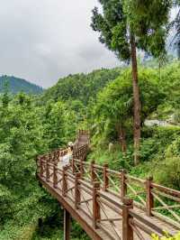 成都2小時｜玩水賞花摘藍莓值得N刷嘅避暑勝地！！喺成都周邊搵