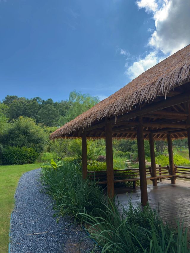 鄭州1h山谷裡嘅避世療癒好去處 三刷信陽 又多咗一份驚喜 對於我嚟講 最好嘅放鬆方式就係搵