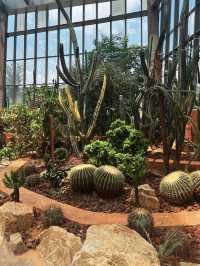 南昌珍奇植物園影相封神攻略！3大溫室，避開99%遊客相